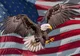 BALD EAGLE USA