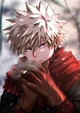 BAKUGO ESPOSO-HÉROE 
