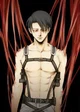 Levi Ackerman 