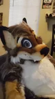 Wolfylion Fursuit 