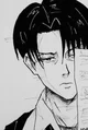 Levi Ackerman 