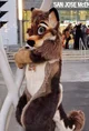 Wolfylion Fursuit 