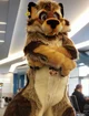 Wolfylion Fursuit 