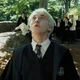 Draco Malfoy