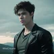Wolf son