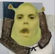 Roomie Shrek 