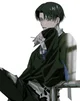 Levi Ackerman 