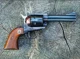 Ruger Blackhawk Gun