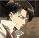 Levi Ackerman 