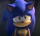 Sonadow sad history