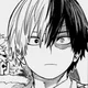 Shoto Todoroki
