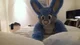 Buster lapin Fursuit