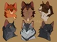 Warrior cats