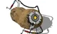 Potato GLaDOS