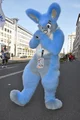 Buster lapin Fursuit