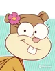 Sandy cheeks