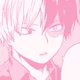Shoto Todoroki 
