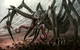 A huge mutant spider
