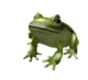 roblox frog