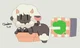 Wooly