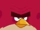 Terence- Angry Birds