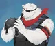 Polar Patroller