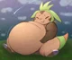 Fat Chespin