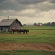 An Amish farm