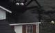 Giant Spider