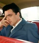 Elvis 