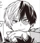 Shoto Todoroki