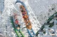 Twisted Colossus