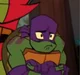 Donatello Hamato
