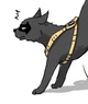 CAT Tim Drake