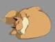 Fat Eevee