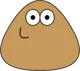 Pou