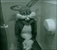 Bugs bunny  bathroom
