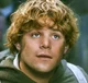 Samwise Gamgee