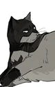 CAT Bruce Wayne