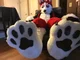 Redskihusky Fursuit 