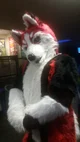 Redskihusky Fursuit 