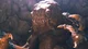 Rancor