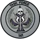 Task Force 141