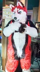 Redskihusky Fursuit 