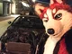 Redskihusky Fursuit 