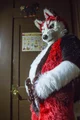 Redskihusky Fursuit 