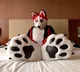 Redskihusky Fursuit 