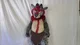 Tabasco Fursuit 