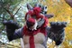 Tabasco Fursuit 