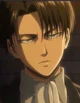 Levi Ackerman 